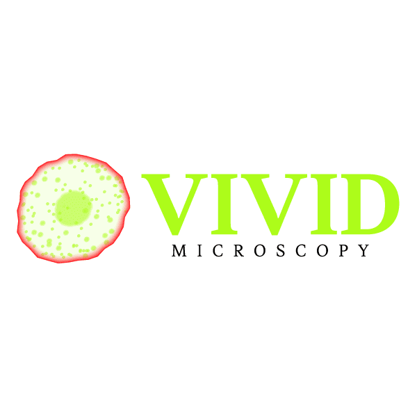 VIVID MICROSCOPY